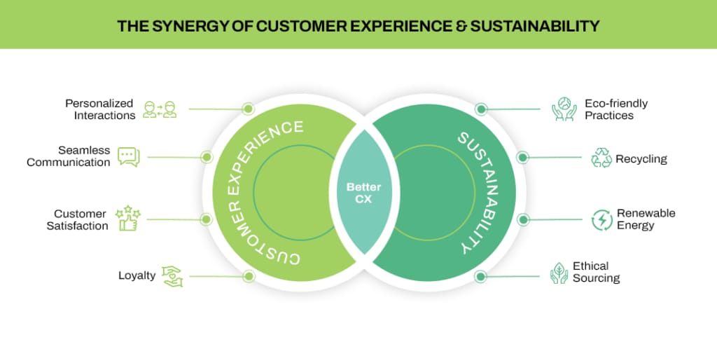 The Synergy Of Customer Experience & Sustainability